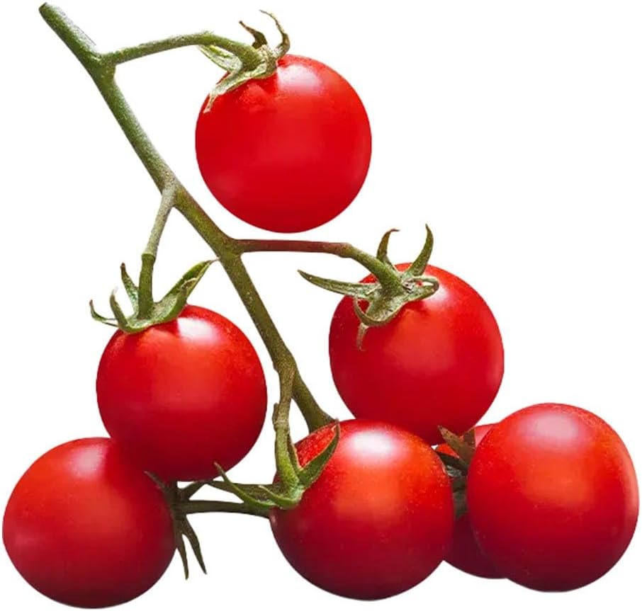 Rossogargano pomodorini di puglia gr400