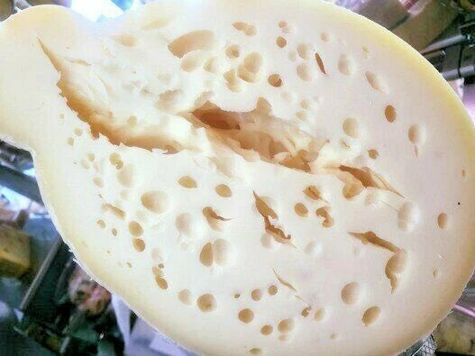 Caciocavallo Il Pallone di Gravina Kg. 1,500 Circa