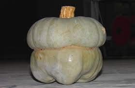 Semi di Zucca Cappello Da Prete Reggiana (gr.3)