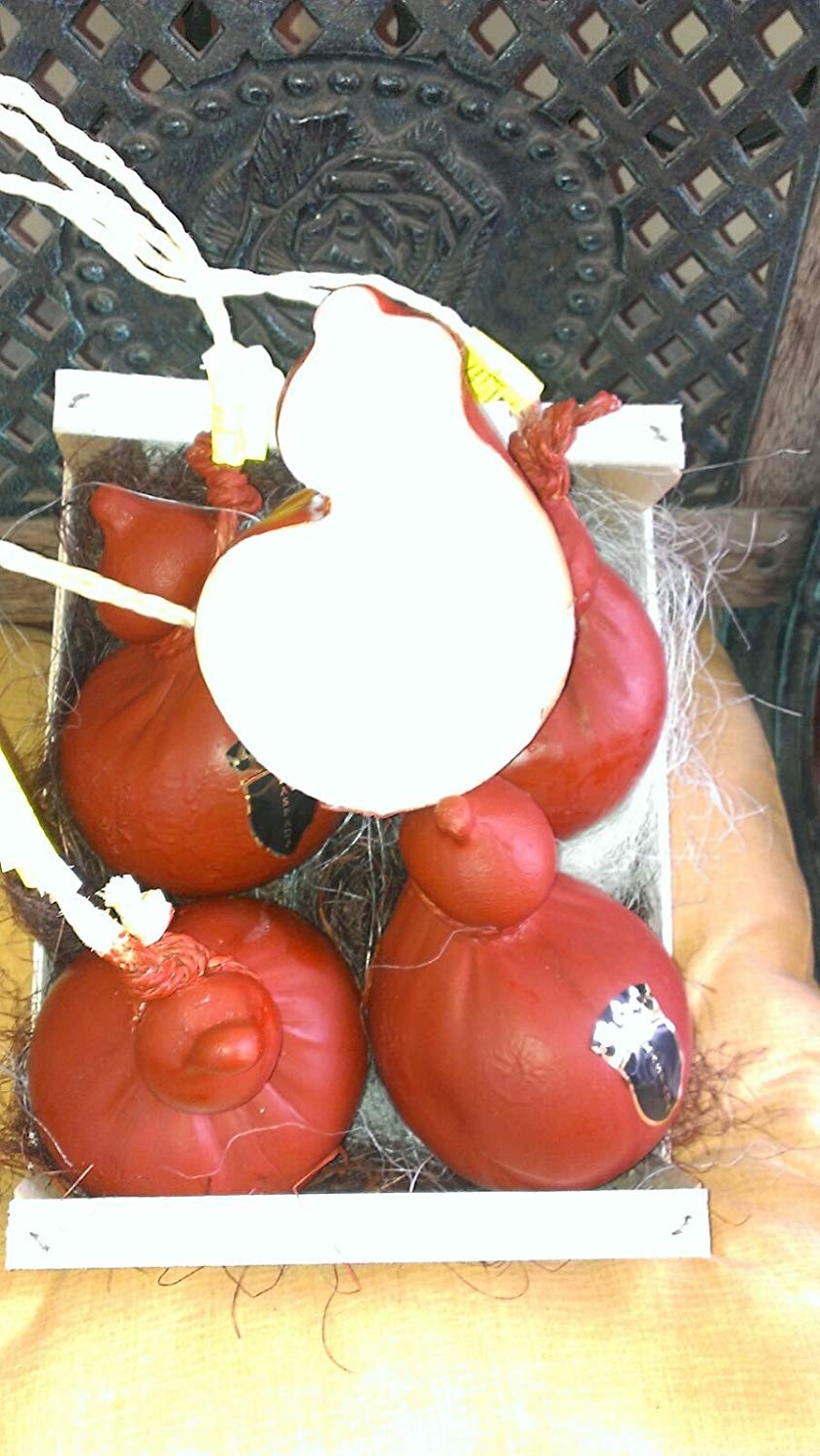 CACIOCAVALLO DI VACCA ROSSO Di Peso Circa Kg. 1,700 IL Pezzo, OFFERTA al Kg. € 11,75 Confezione da 4 Pezzi € 79,90 Circa Kg 6,80