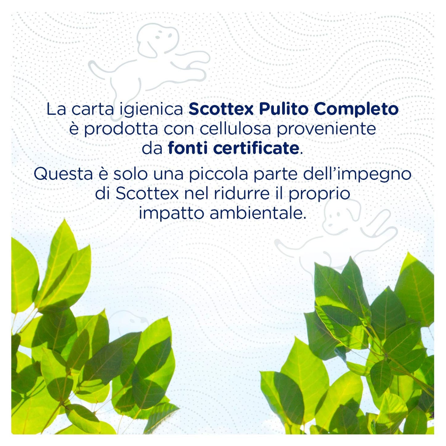 Scottex Pulito Completo Carta Igienica, Confezione da 60 Rotoli Maxi