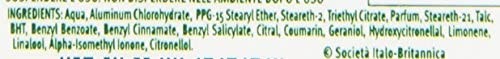 Borotalco, Deodorante Roll-On Original con Microtalco, Assorbe il Sudore, Senza Alcool, Pelle Morbida e Idratata, Profumo Fresco