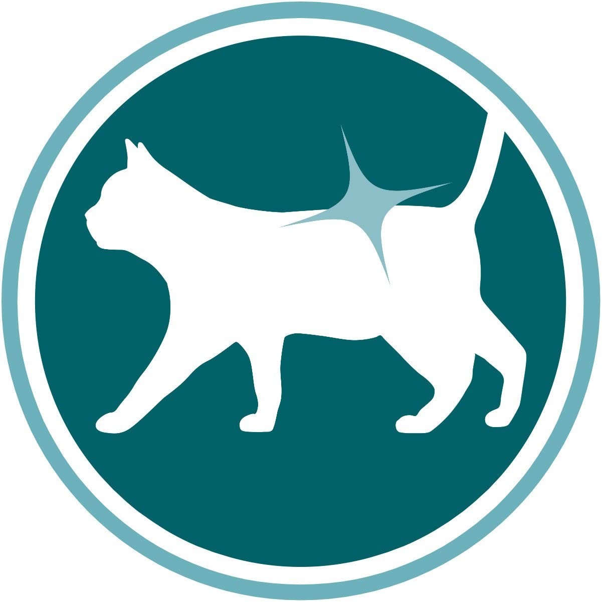 Purina One Bifensis Crocchette per Il Gatto Adulto, Ricco in Pollo e Cereali Integrali, 800g