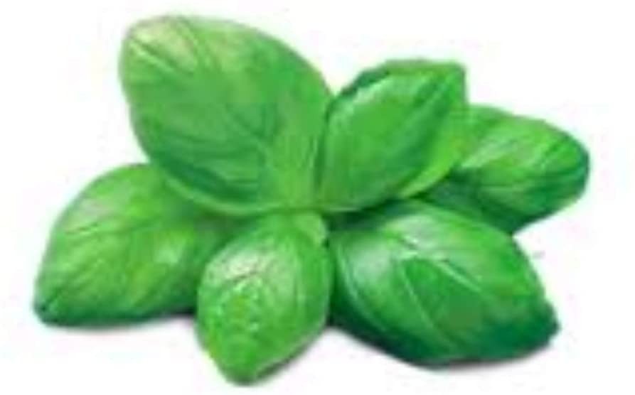 PESTO GENOVESE BARILLA POUCH GR500