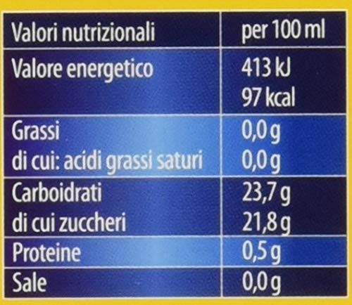 LA GRANITA SICILIANA DOLFIN CON SUCCO DI AGRUMI DI SICILIA SENSOFREDDO 2x100ML