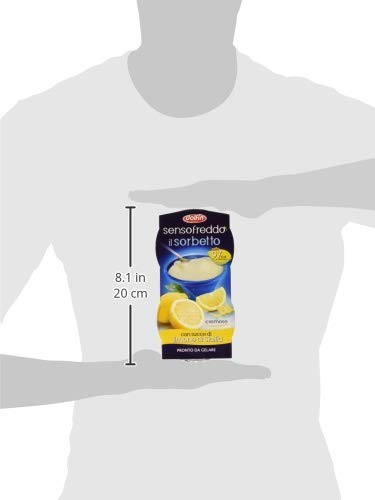 IL SORBETTO DOLFIN SUCCO MELOGRANO E FRUTTI DI BOSCO SENSOFREDDO GRANITA 2x100ML