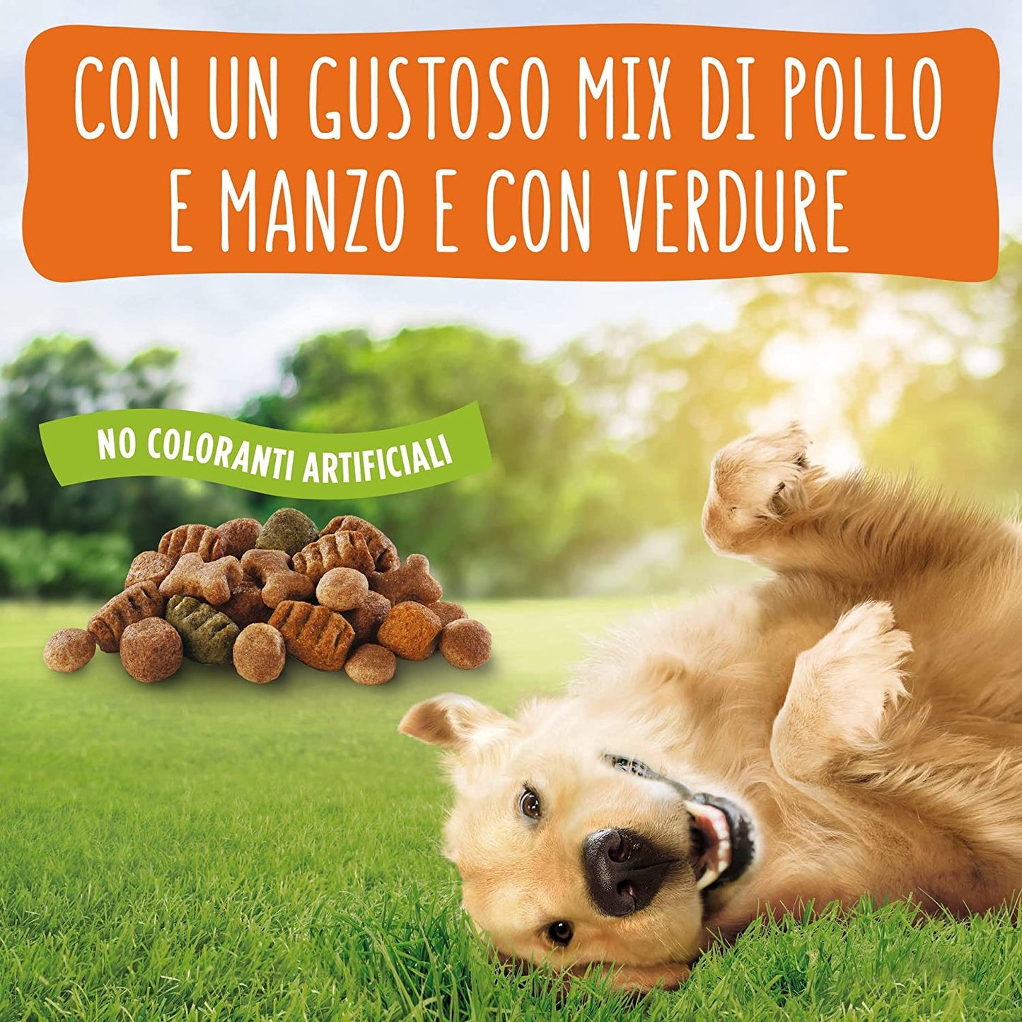 Purina Friskies Crocchette Cane Vitafit Balance con Pollo, Manzo e Verdure, 6 Confezioni da 1.5 kg Ciascuna, Peso Totale 9 kg