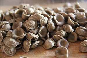ORECCHIETTE FRESCHE INTEGRALI 4 Conf. 400 g.