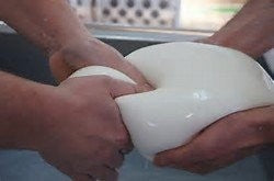 Burrata Pugliese Kg 3