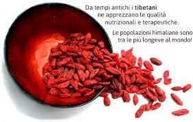 BACCHE DO GOJI Conf.150g.OFFERTA € 6,50