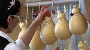 CACIOCAVALLO IN GROTTA PUGLIESE Kg. 1,40/1,60 Circa € 35,00