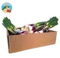 CIPOLLA DI TROPE FRESCA OFFERTA Conf. da Kg. 0,500 € 5,90