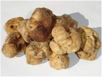 TAGLIATELLE AL TARTUFO BIANCO Gr. 250 OFFERTA € 7,90