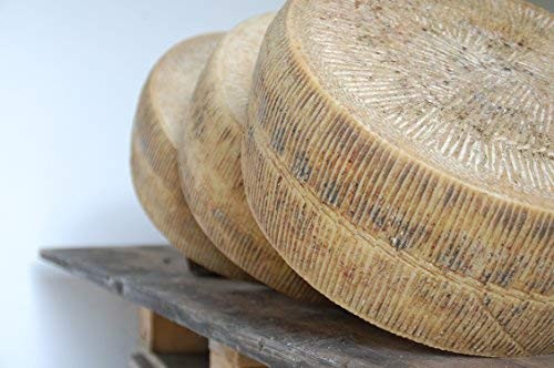 Formaggio Pecorino Stagionato del Pastore forma da 8 kg stagionatura 1 anno