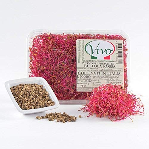 Germogli Freschi di Bietola Rosa Conf. 75 gr.