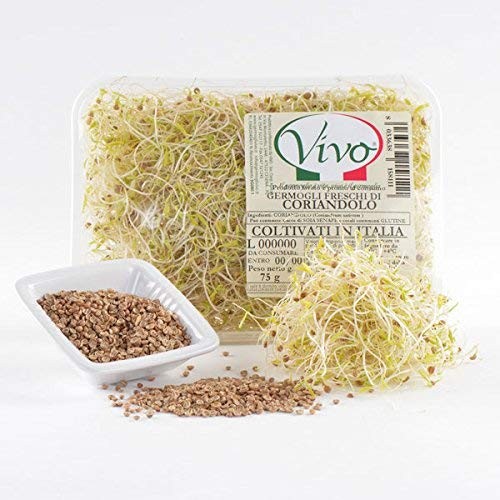 Germogli Freschi di Coriandolo Conf. 75 gr.