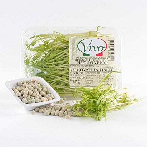 Germogli di lenticchie verdi con prezzemolo e aglio Germogli di lenticchie verdi con prezzemolo e aglio