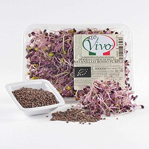 Germogli Freschi di Ravanello Rosso Purple Conf. 75 gr.