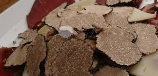 TARTUFO NERO ESTIVO Gr. 500 OFFERTA € 116,90