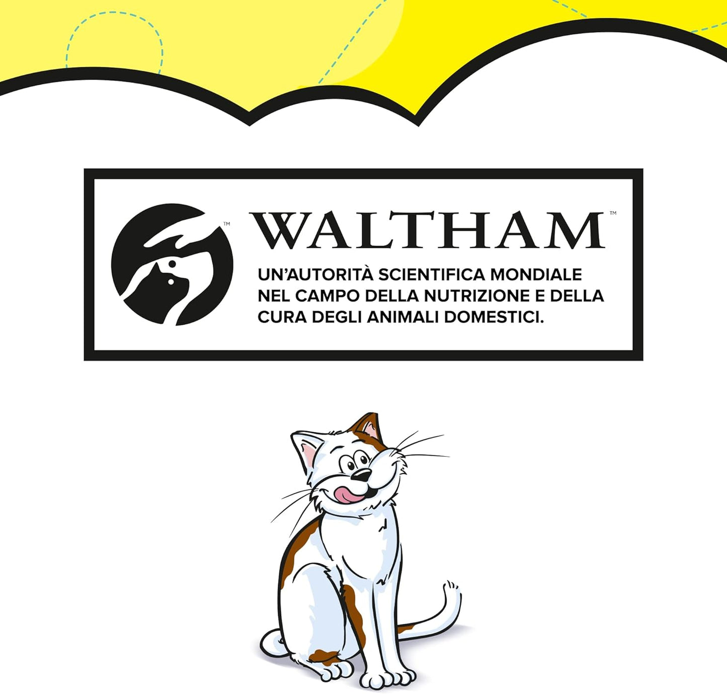 Catisfactions, Snack per Gatto con Delizioso Salmone, 6 Confezioni da 60 g