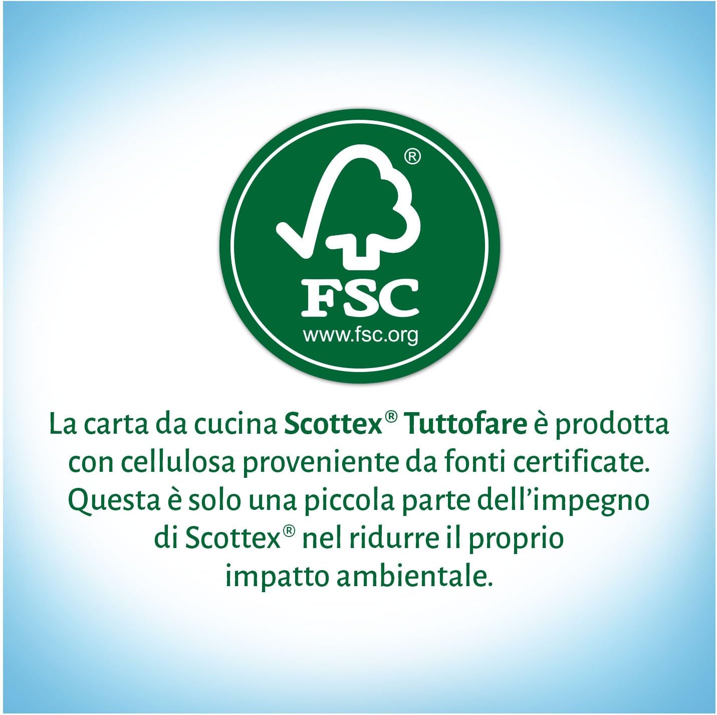 Scottex Tuttofare, Confezione da 2 Rotoli