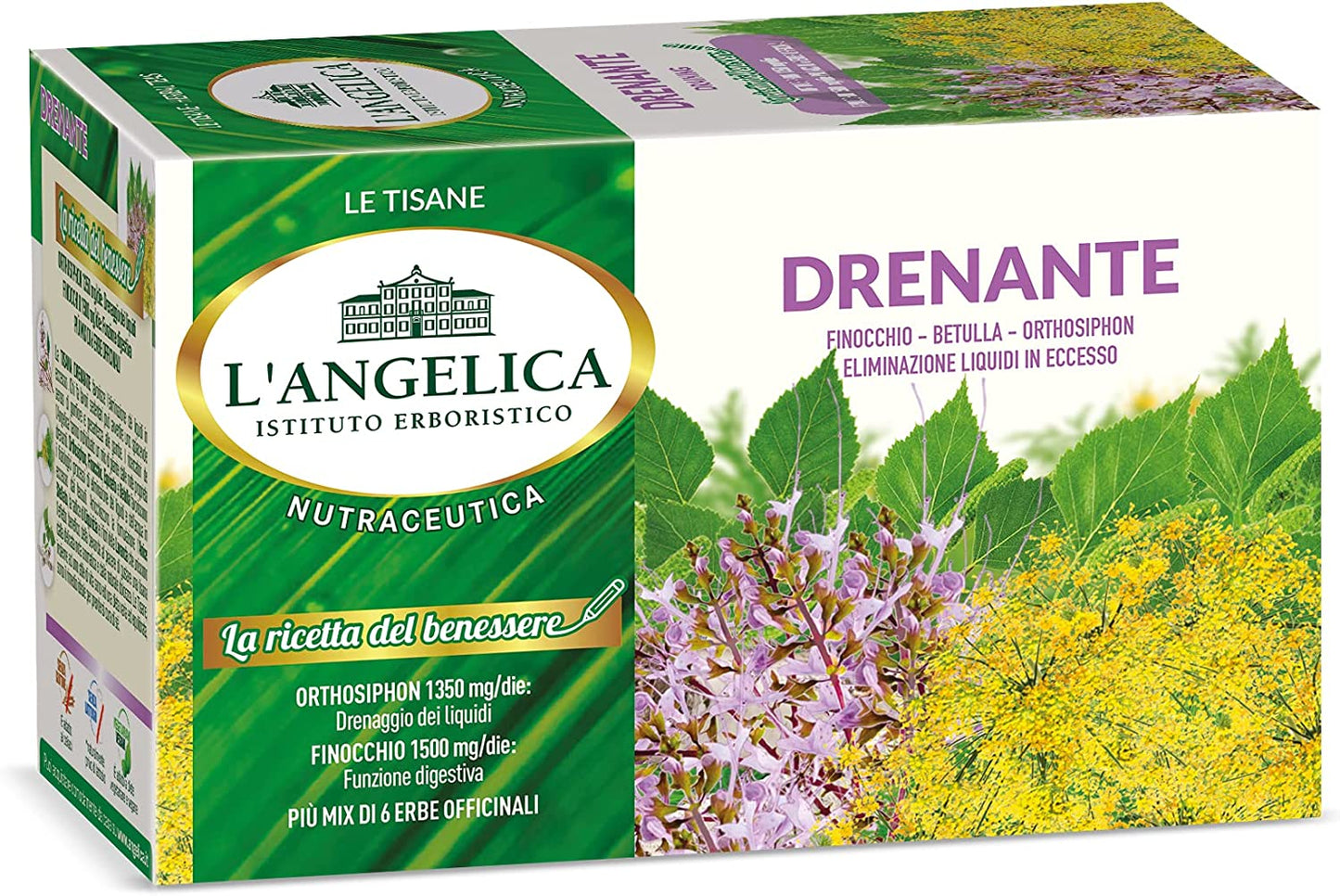 L' Angelica, Tisana Drenante, Tisana Funzionale Che Favorisce il Drenaggio e L'Eliminazione dei Liquidi in Eccesso Grazie a Ortosiphon e Finocchio, 10 Confezioni da 20 Filtri Ciascuna
