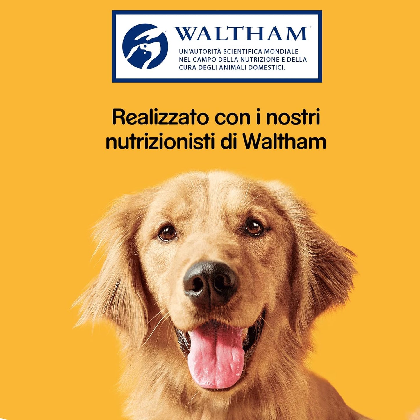 Pedigree Dentastix Snack per la Igiene Orale (Cane Grande +25 kg), 270 g 105 Pezzi - 15 Confezioni da 7 Pezzi (105 Pezzi totali)