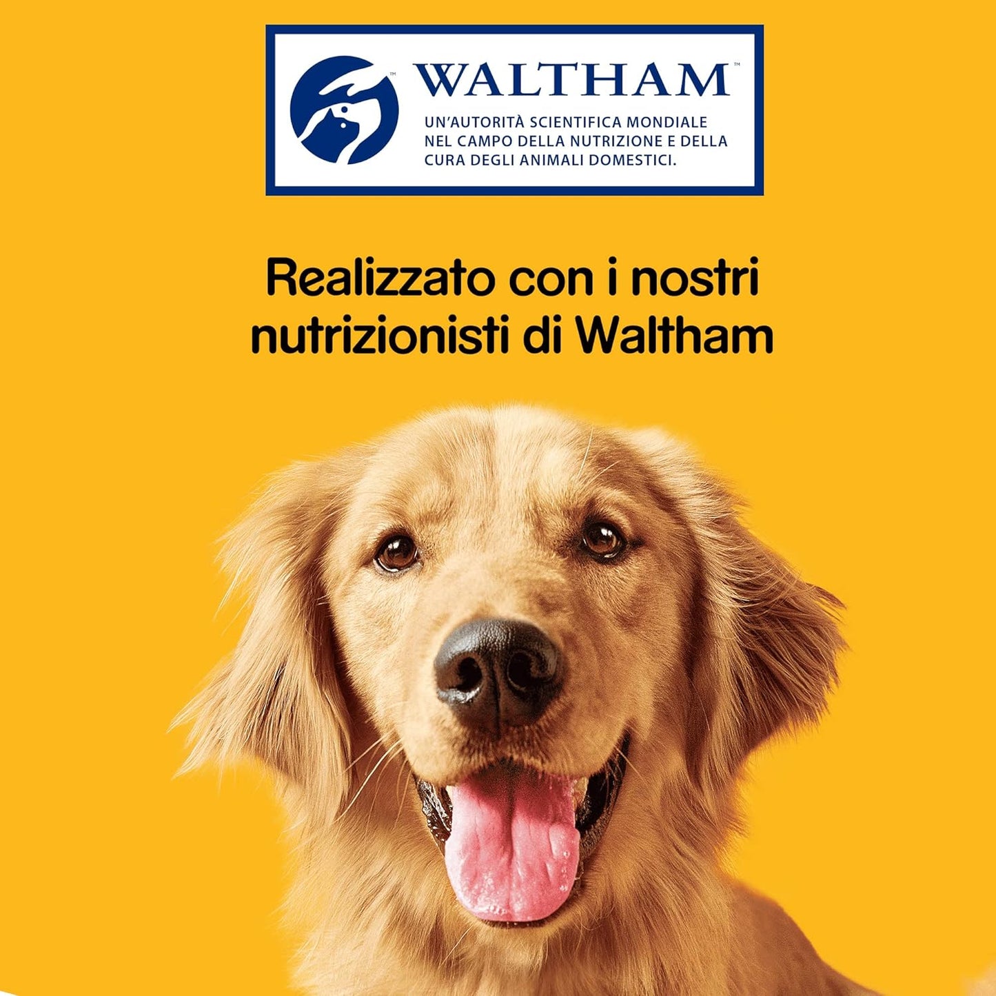 Pedigree Biscrock Orginal, Biscotti Croccanti per Cani in 3 Gustose Varietà, 500g