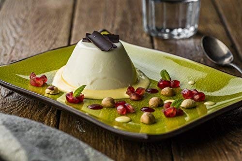 PANNA COTTA GR520 CARTE D'OR