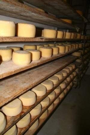 PECORINO FORMAGGIO DI LATTE DI PECORA CON PEPE ROSA FORME DA KG 3,00/3,200 CIRCA IL PEZZO
