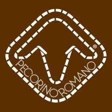 RICOTTA SALATA DURA Kg. 3,00/3,800 CIRCA LA FORMA € 33,90