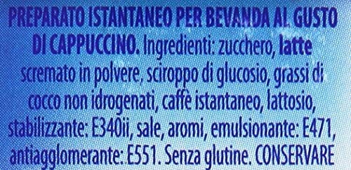 Ristora - Preparato per Bevanda al Gusto di Cappuccino, per 15 Tazze, senza Glutine - 250 g