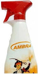 OIES Spray ambra 750 ml