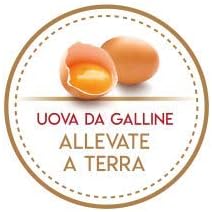 Balocco Panettone Maxiciok con Cioccolato Fondente, Uova Galline Allevate a Terra, Senza Canditi e Uvetta, con Crema, Dolce Natale, Qualità Made in Italy (Panettone Maxiciok, 800 g)