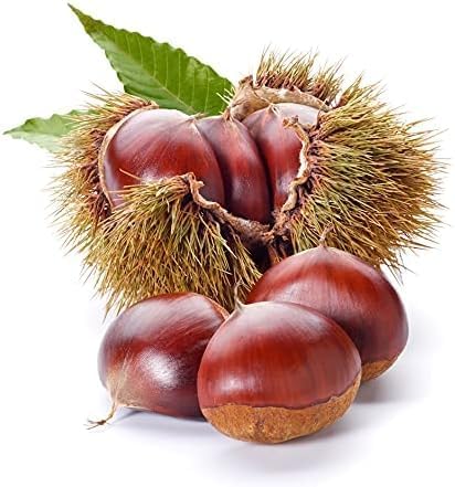 Castagne Marroni Grandi di Stagione Fresche Pima Scelta 1 Kg