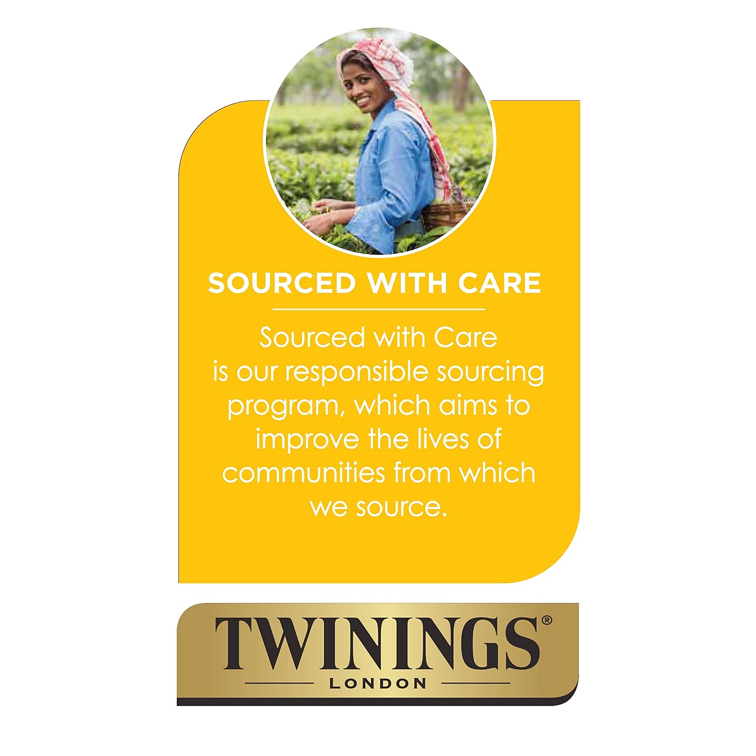 TWININGS Tea Bags, Earl Grey, 1.76 oz, 25/Box
