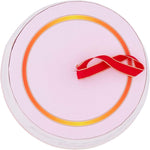 2X Bauli il Pandoro di Verona Classico Senza Glutine e Senza Lattosio (Lactose & Gluten Free) 500g [2 Pandori]