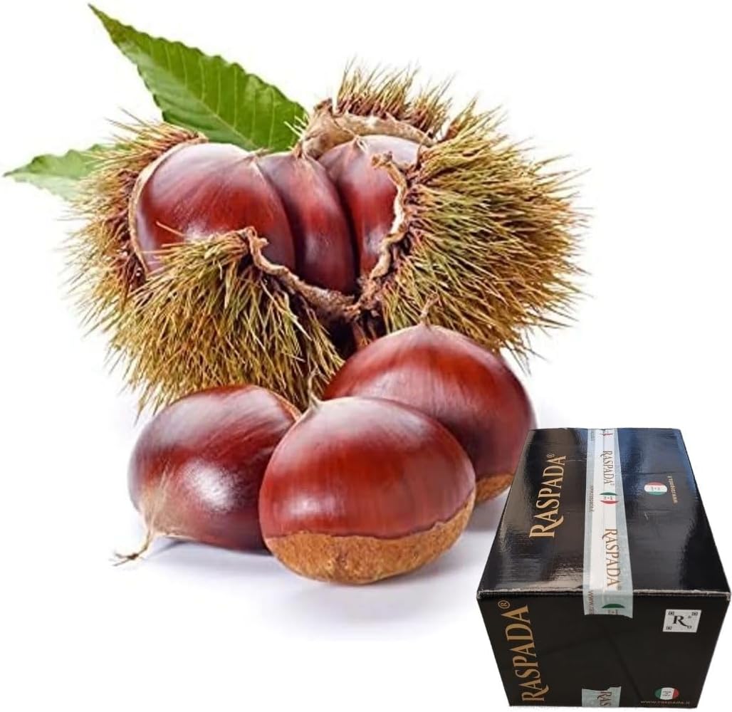 Castagne Marroni Grandi di Stagione Fresche Pima Scelta 1 Kg