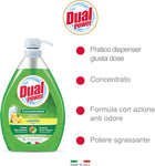 Dual Power Piatti Gel Limone, Detergente Piatti Concentrato ad Elevato Potere Sgrassante, Ideale per Stoviglie Incrostate, Azione Anti Odore, Made in Italy, Dispenser 1 L