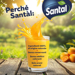 Santàl Ananas, Succo di Ananas, 1L