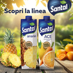 Santàl Ananas, Succo di Ananas, 1L
