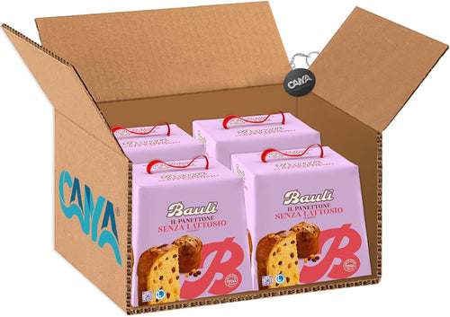 Panettone Classico SENZA LATTOSIO con Uvetta e Canditi 700g (new), Confezione per bauli [RASPADA® BOX da 4 Panettoni]
