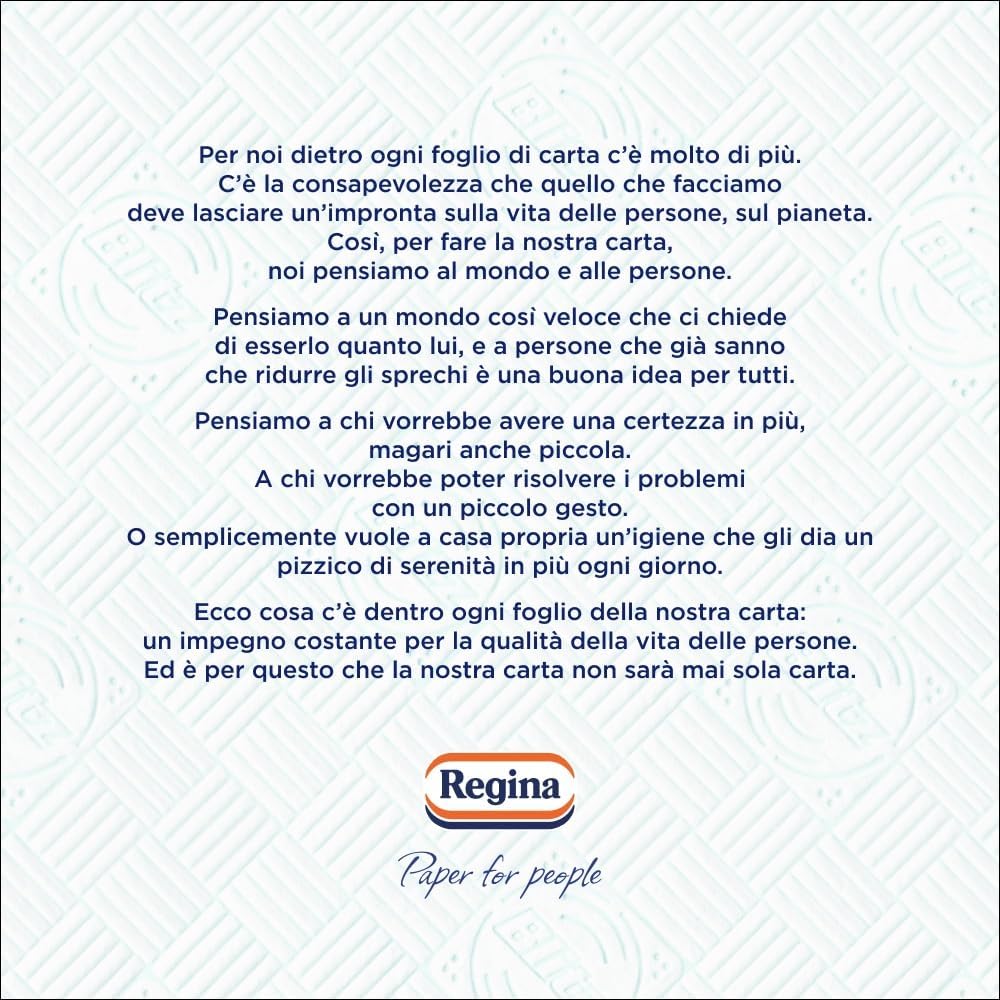 Regina Blitz Carta Casa, Confezione da 1 Rotolo, 100 Maxi Fogli a 3 Veli, Confezione in Carta Riciclabile, Pulisci e Asciughi in un Lampo, Carta 100% Certificata FSC