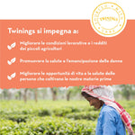 Twinings, English Breakfast Tea, Classica Miscela di Tè Neri Selezionati dal Sapore Deciso e Corposo, Infusi e Tisane, 12 Confezioni da 25 Filtri