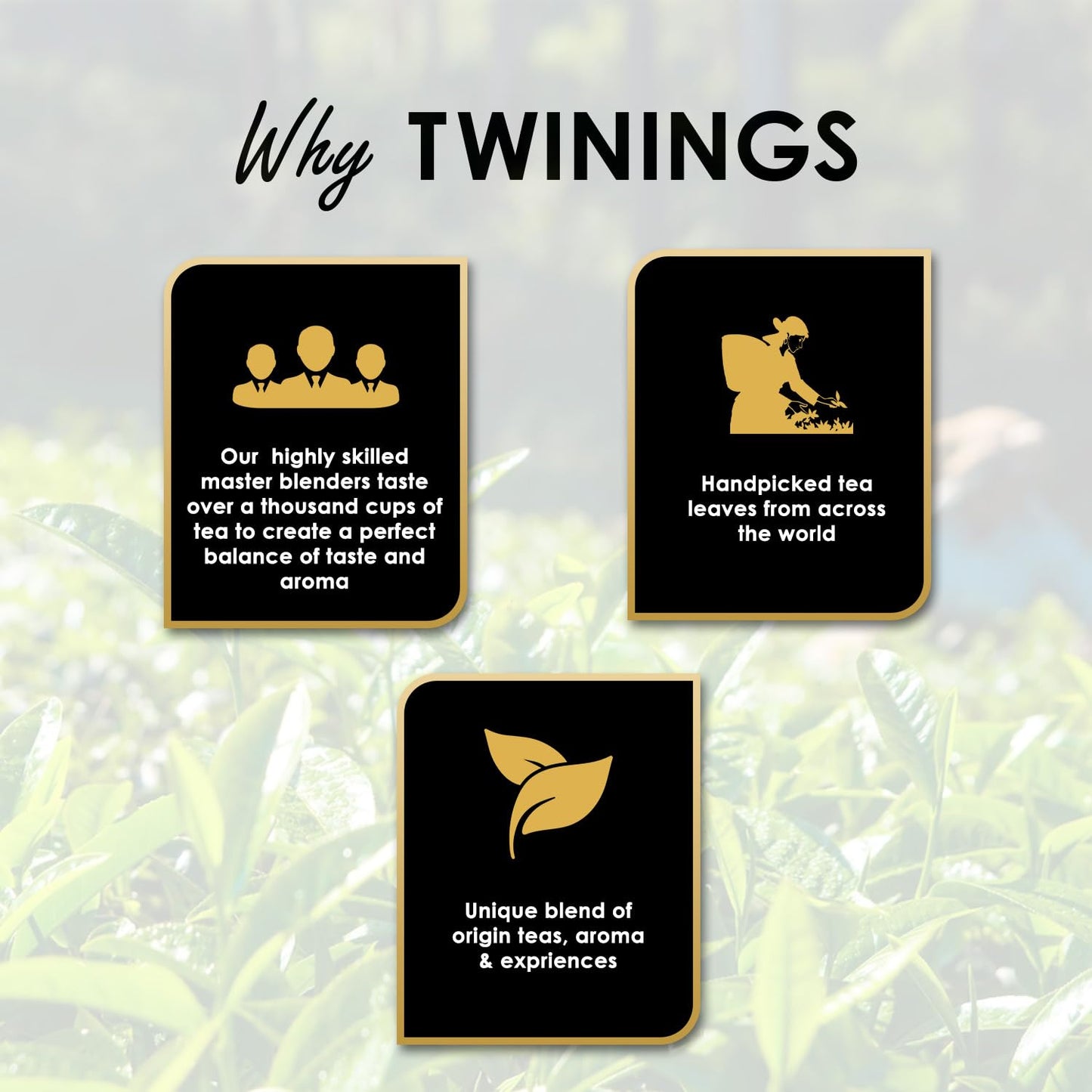 Twinings Pure Green Tea, 25 bustine di tè, tè verde, perfettamente bilanciato e rinfrescante, 50 g