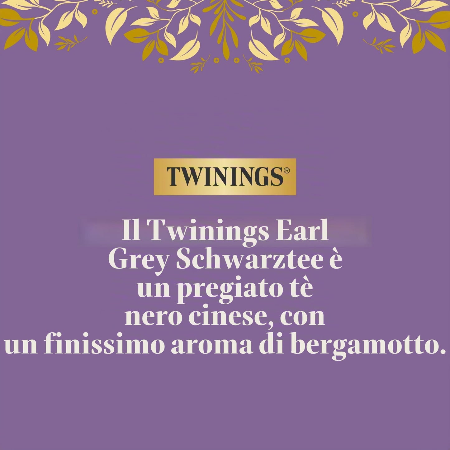 Twinings - Tè nero Earl Grey, 100 bustine, 1 confezione (1 x 200 g)