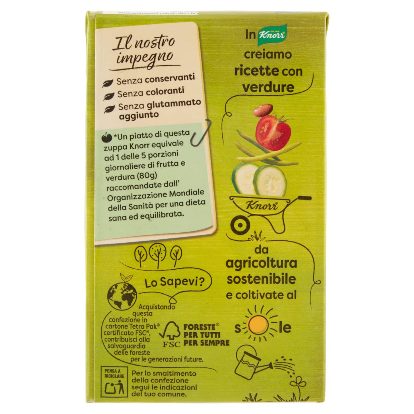 Knorr Minestrone Tradizionale, Piatti Pronti Knorr con Ingredienti 100% Naturali, Senza Coloranti e Senza Conservanti, Fonte di Fibre, Vegano, Confezione da 2500ml