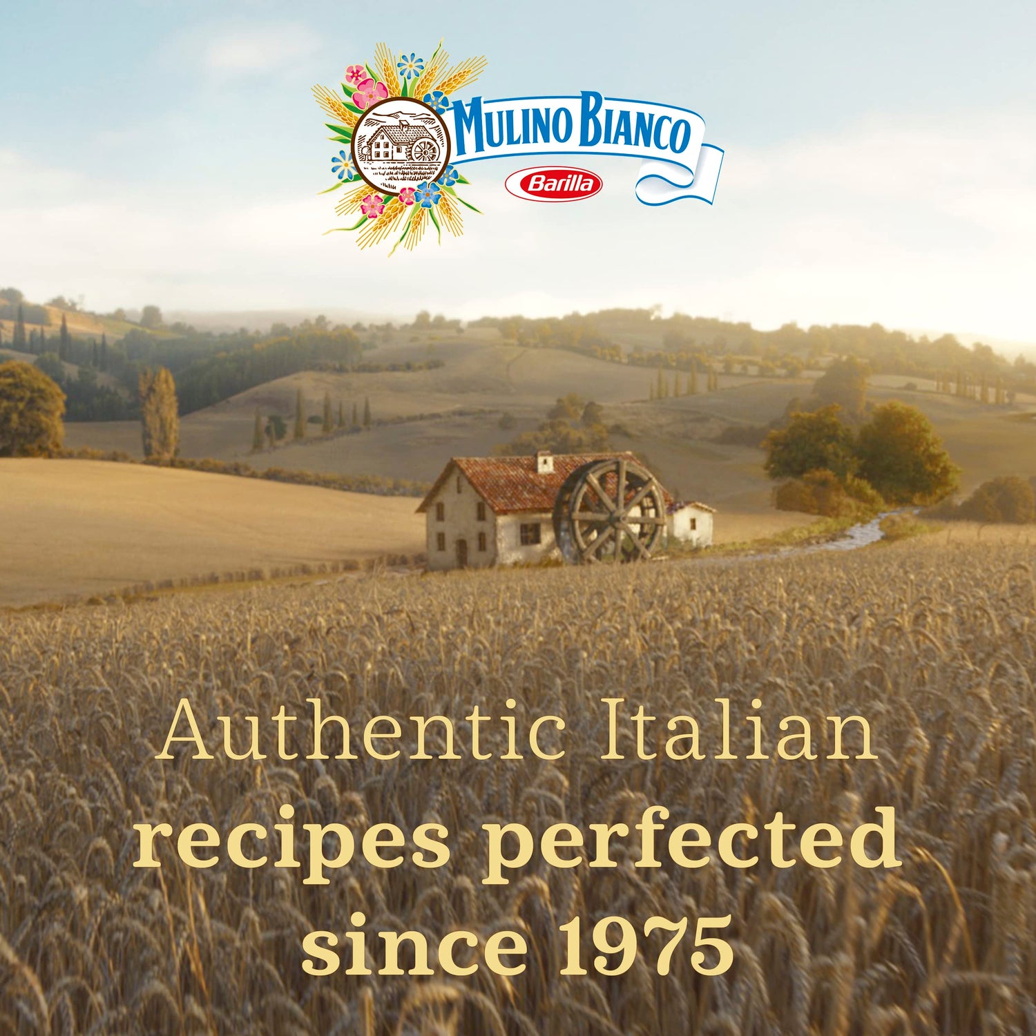 Mulino Bianco Barilla Abbracci 350g (confezione da 12)