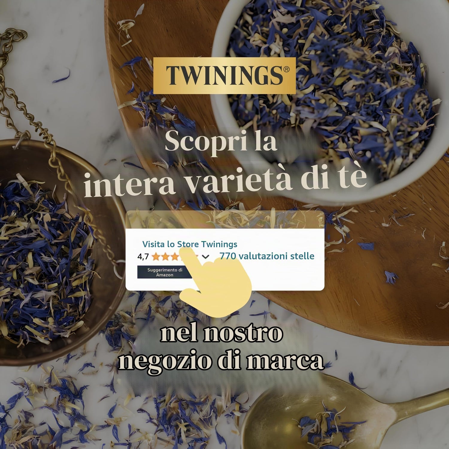 Twinings - Tè nero Earl Grey, 100 bustine, 1 confezione (1 x 200 g)