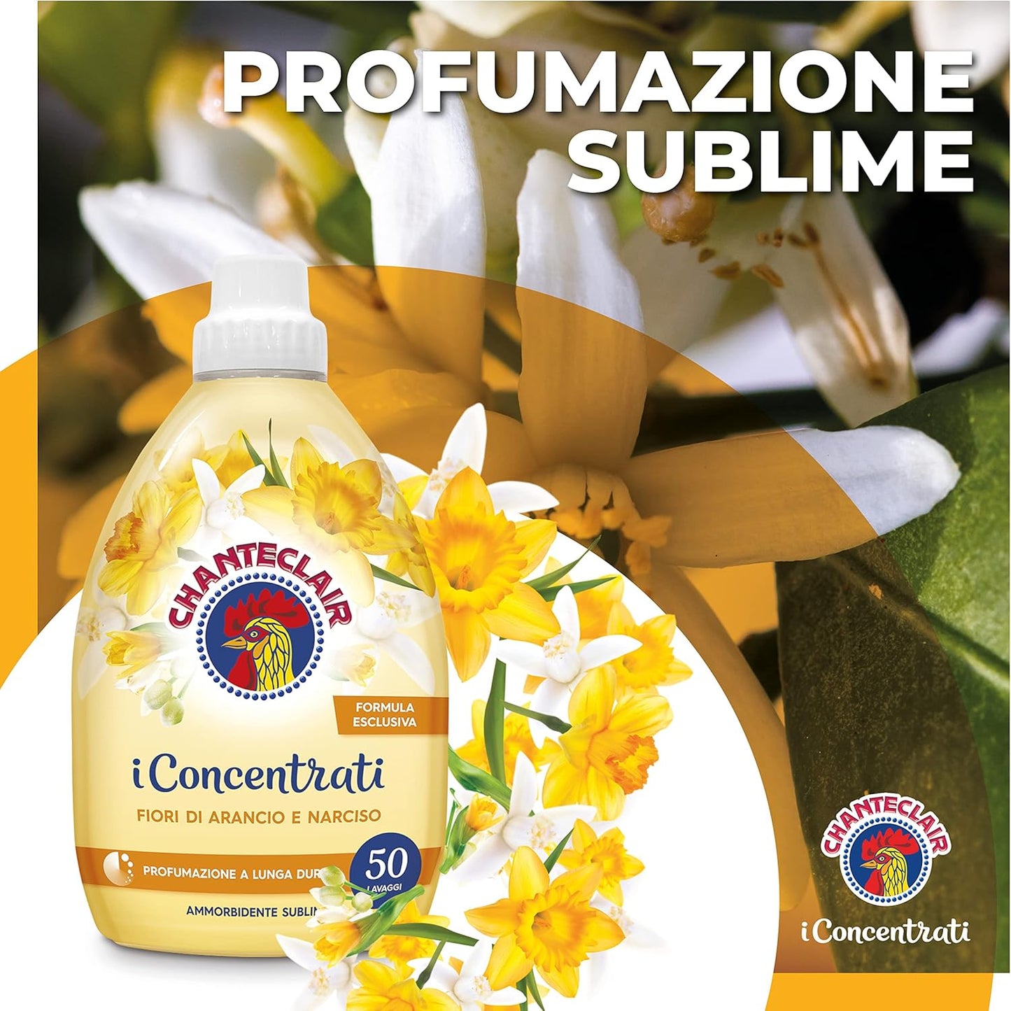 Chanteclair I Concentrati - Ammorbidente Concentrato, Fragranza Fiori d'Arancio e Narciso, per Capi Morbidi e Profumati - 1 Litro